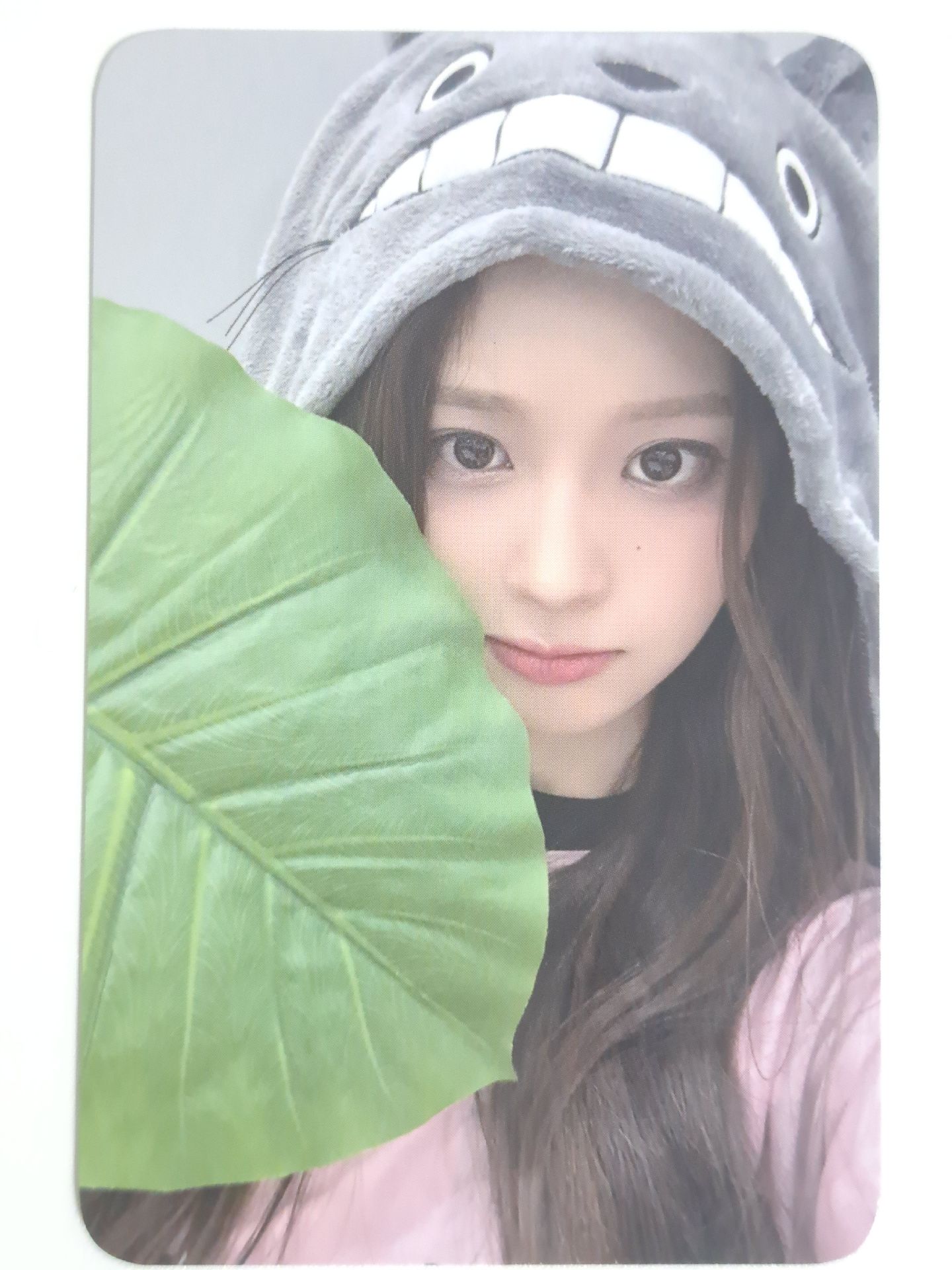 仲夏夜 el 線下 1.0 簽售卡 龍貓薛