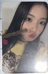 巧克力棒友