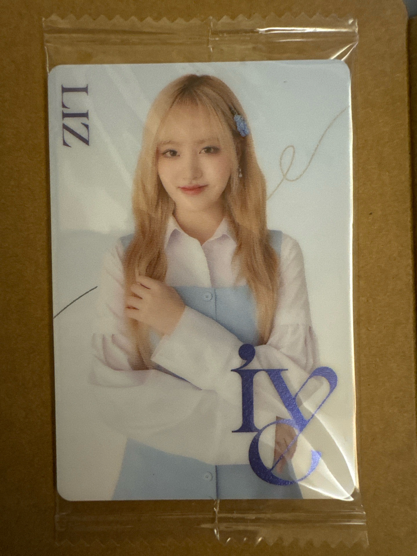 萬代 周邊卡 餅乾卡 liz