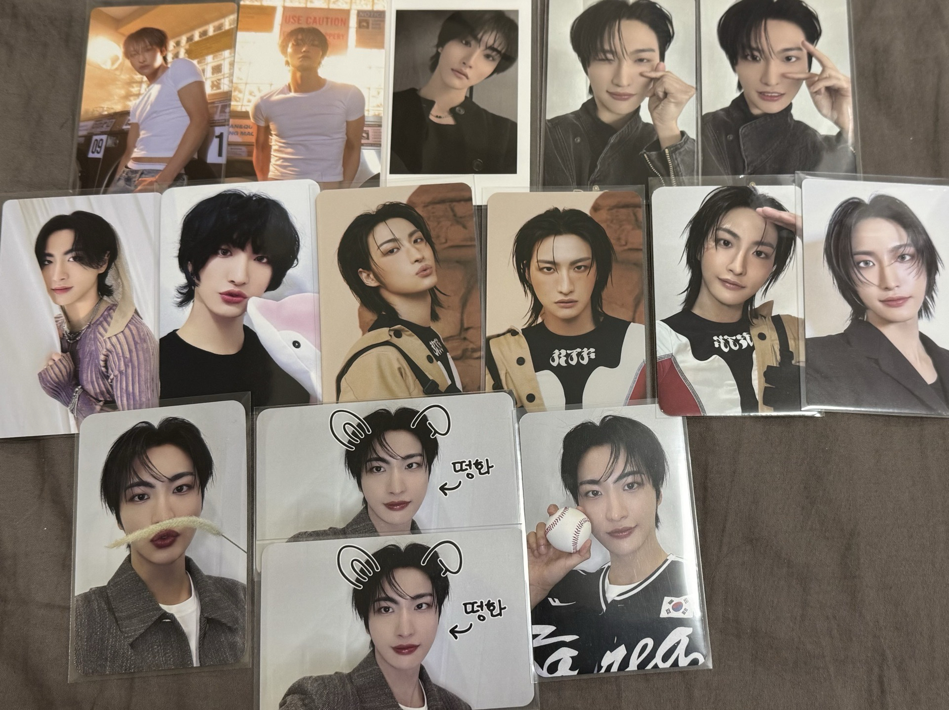 棒球+寵物鏡頭星 小盤