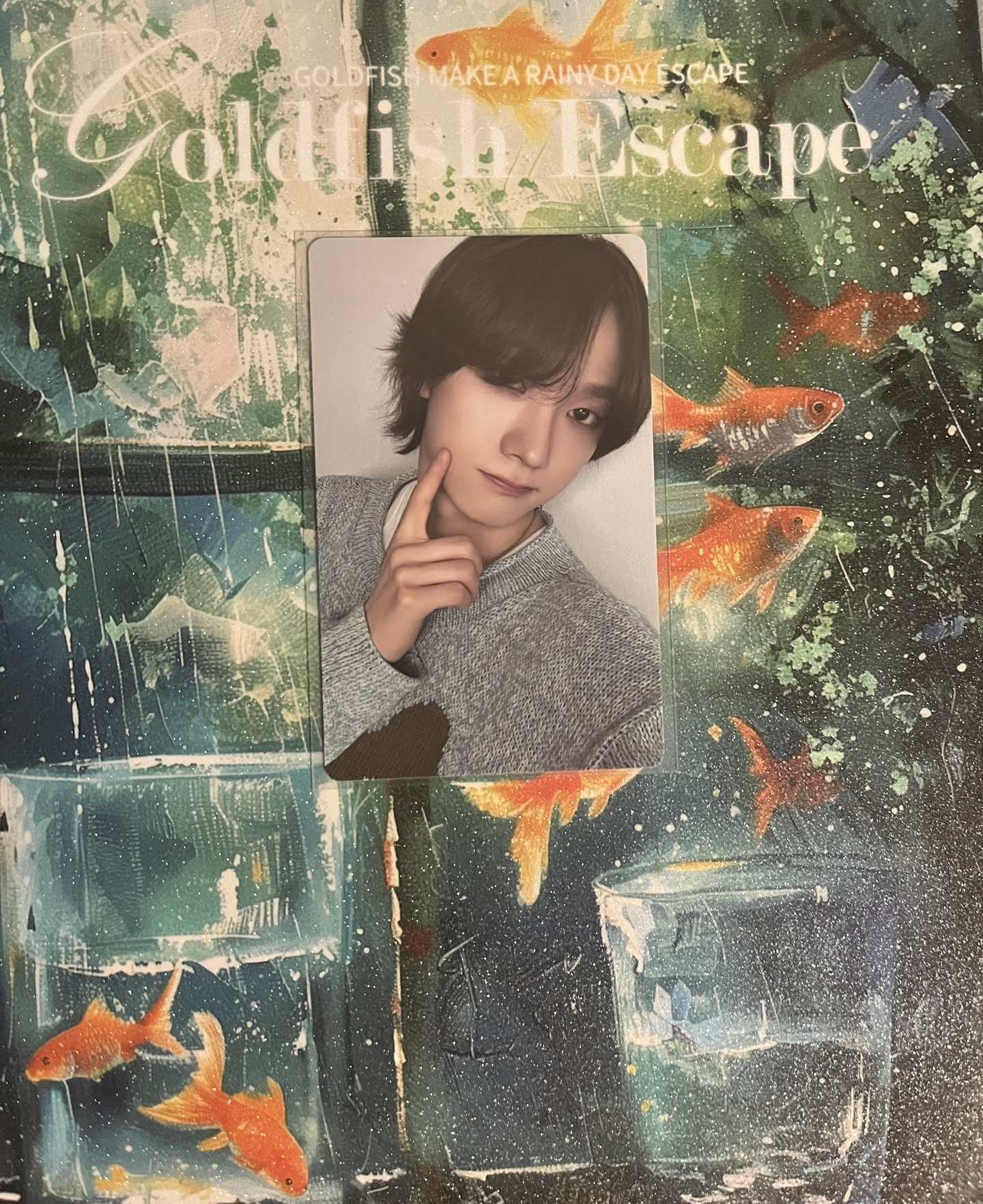 BOYLIFE WVS日咖特別禮