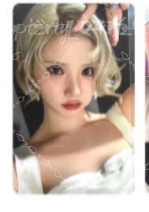 正一 wm預售貓耳 特典卡 