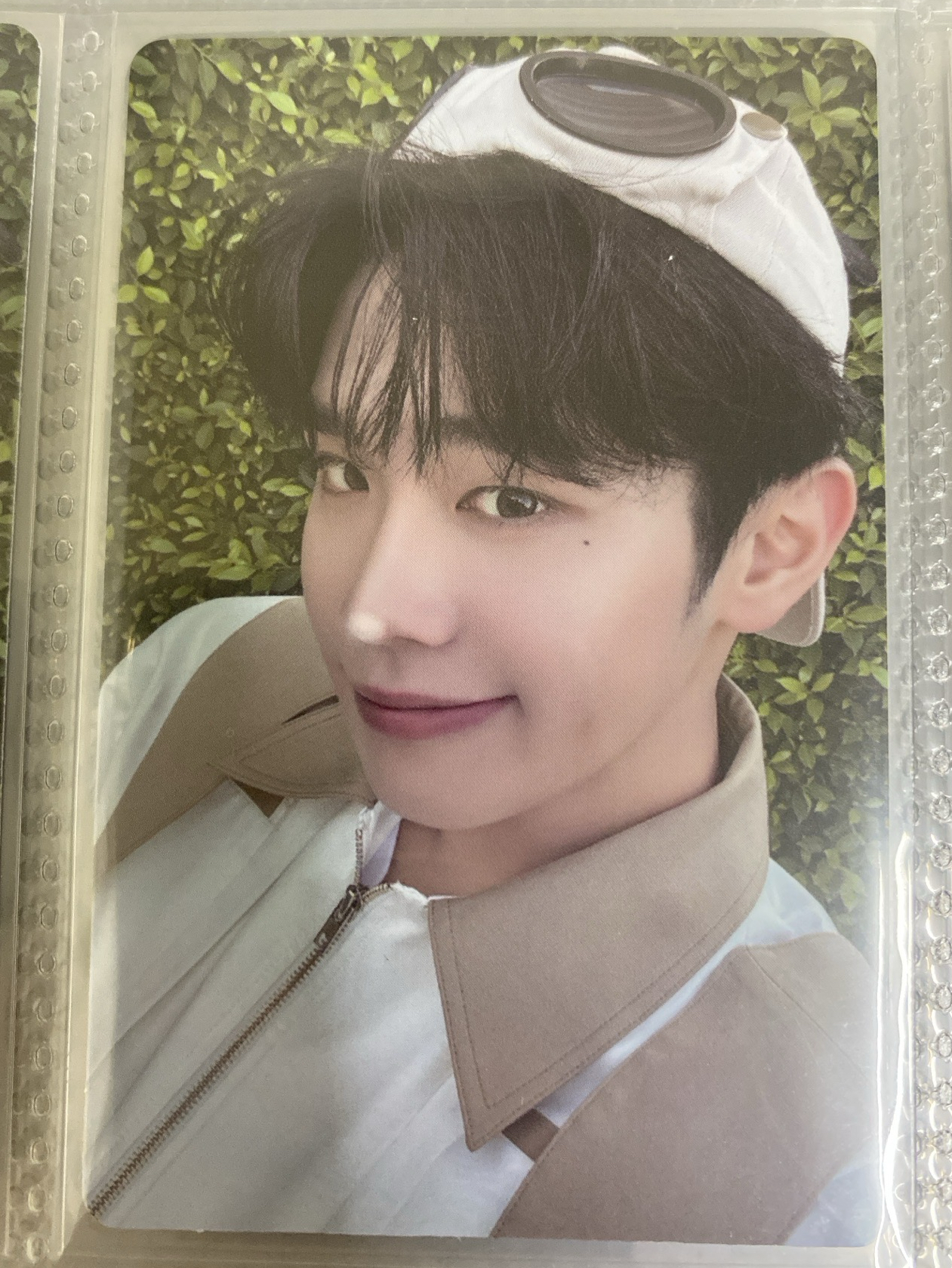 金泰來 迷五專卡 ZEROSE版