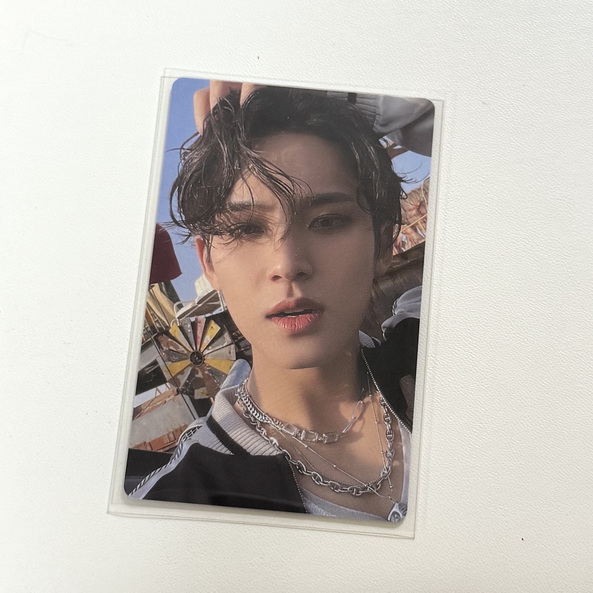 正規四 wvsjp 掰頭奎