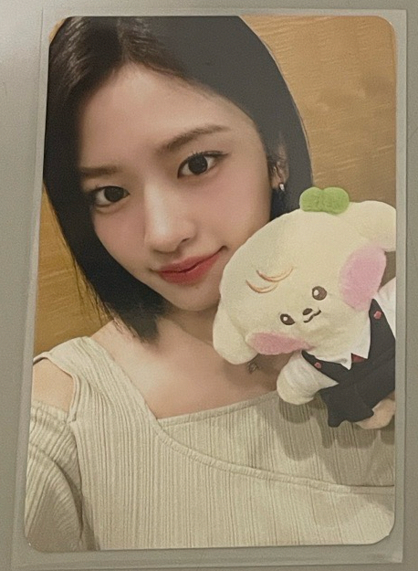 IVE Minive x Line Friends 快閃店滿額卡