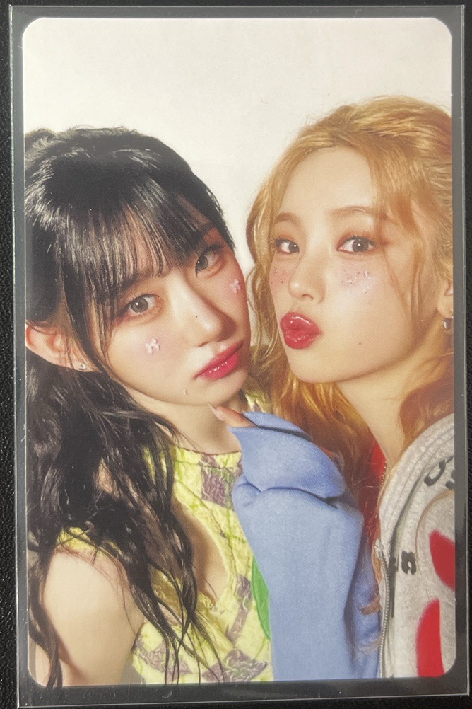 Algorhythm 初回限定盤 專卡 志領雙人