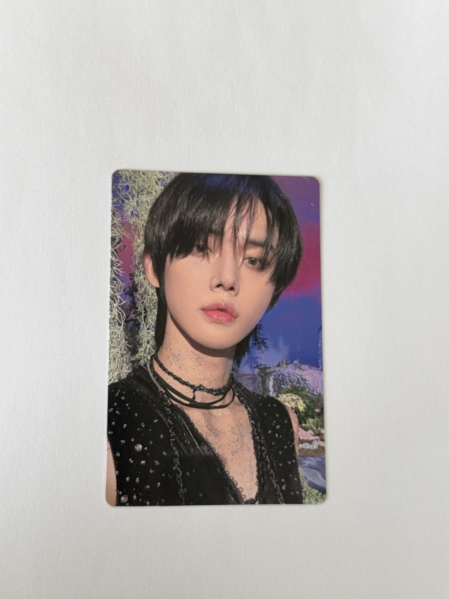 迷五 電子專竣卡