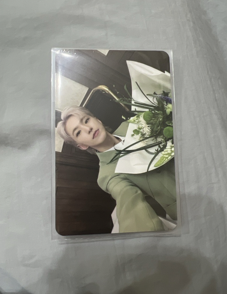 迷12克拉盤 捧花榮 hoshi 隨機卡