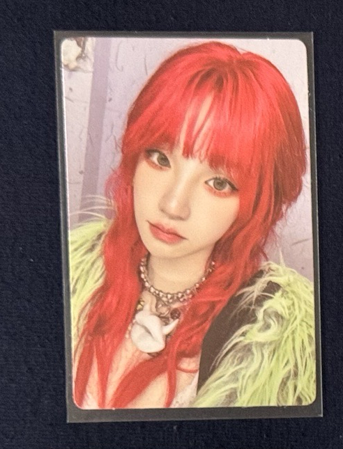 琦 solo專 兔版 專卡