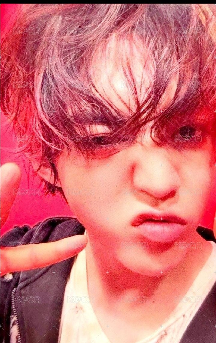 正五 特典/場限 哲