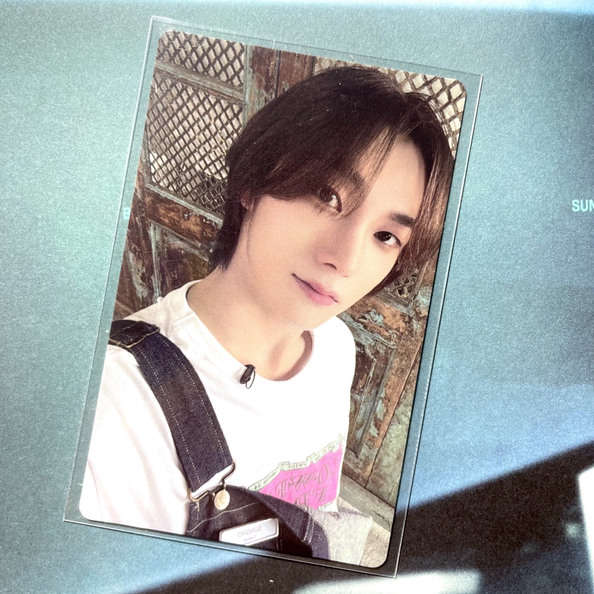 朴成淏 19.99wvs直播卡