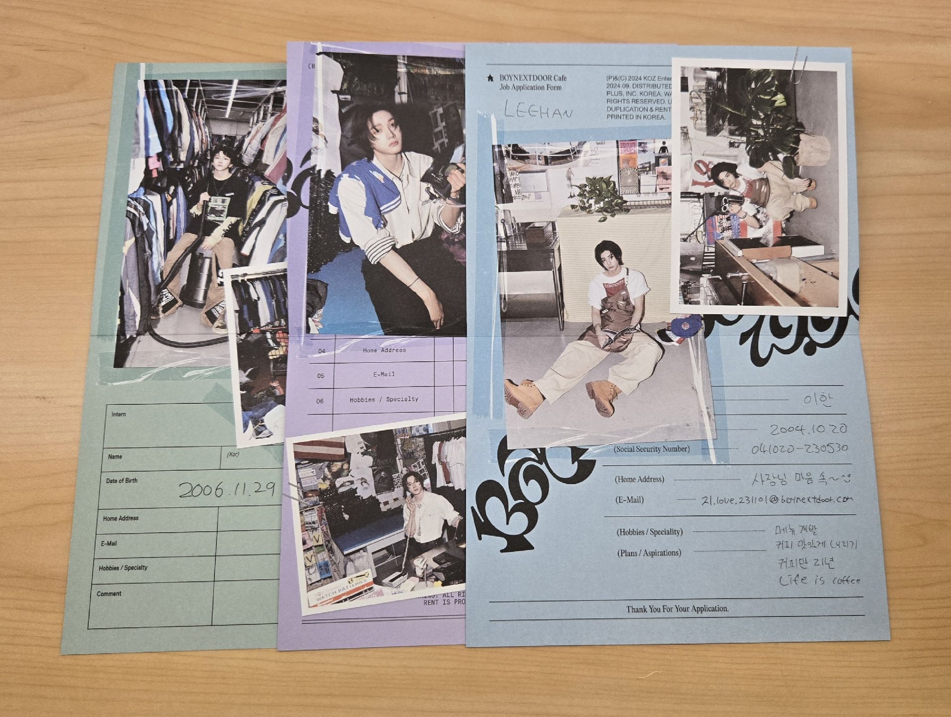 19.99履歷表 雲鶴 成淏 李涵