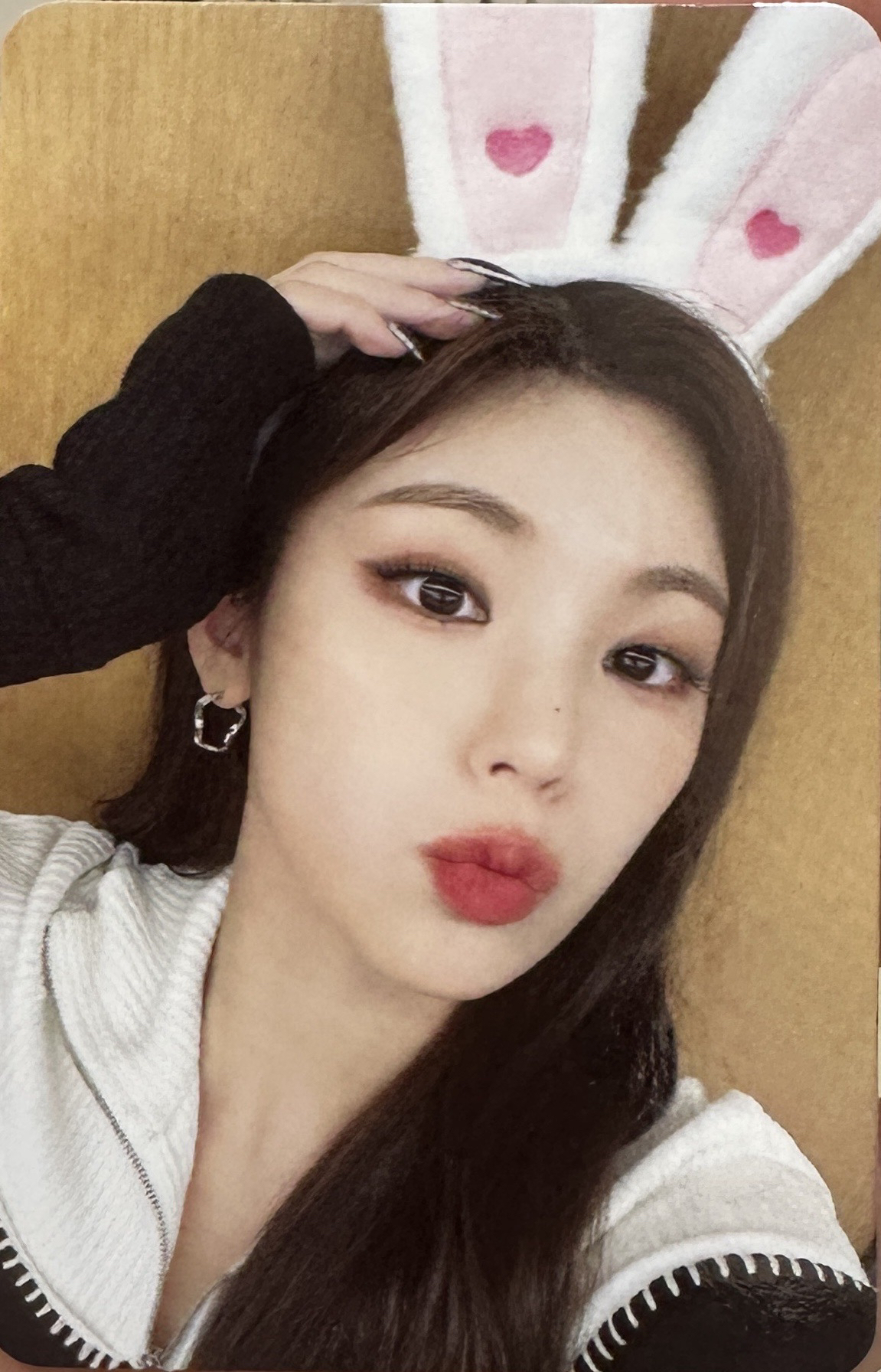 CHESHIRE ms 2.0 幸運卡志