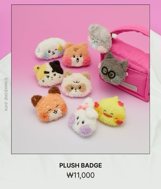 ZB1 Zeroni home party 滿額卡 毛絨徽章