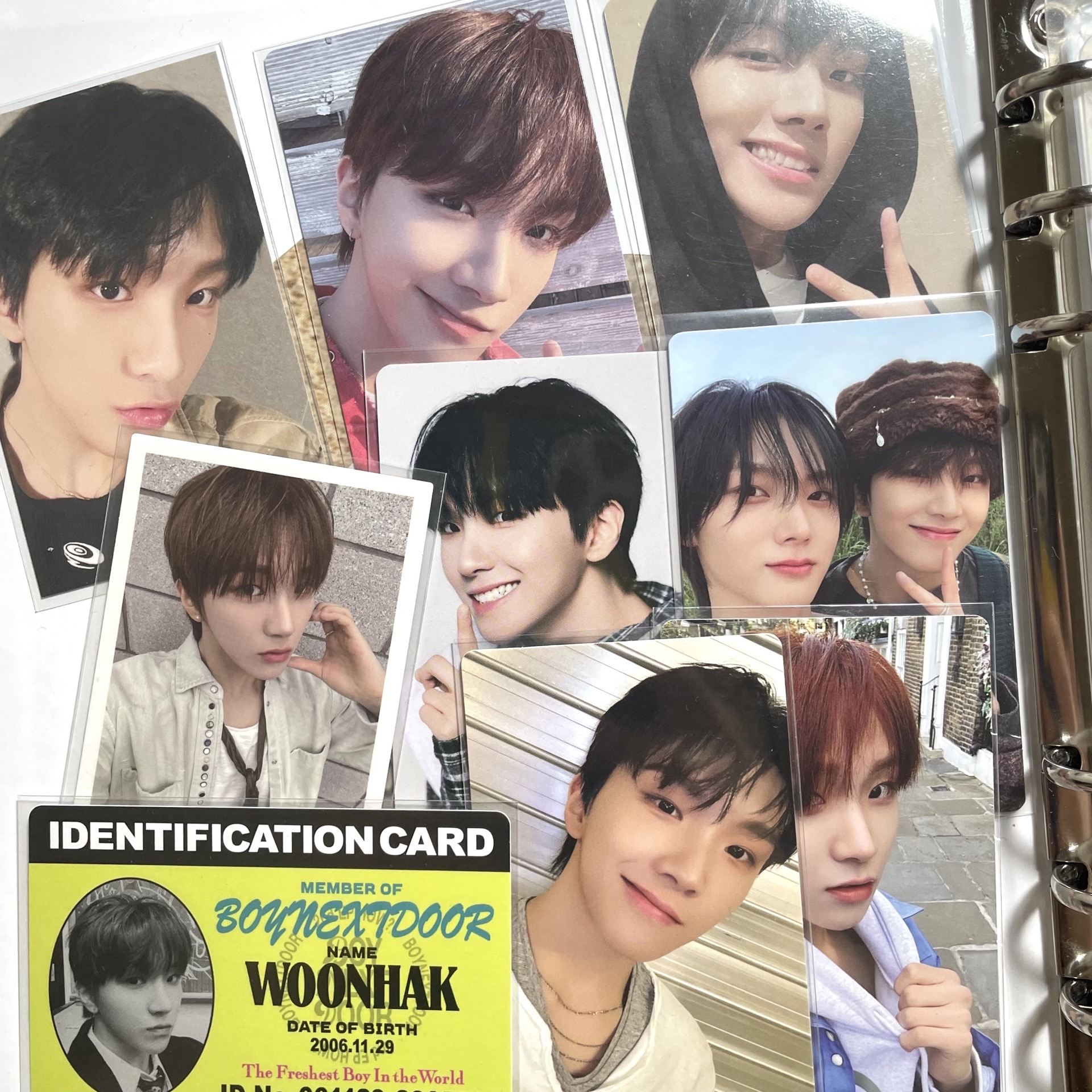 ☘️金雲鶴 muvve3.0兔耳6