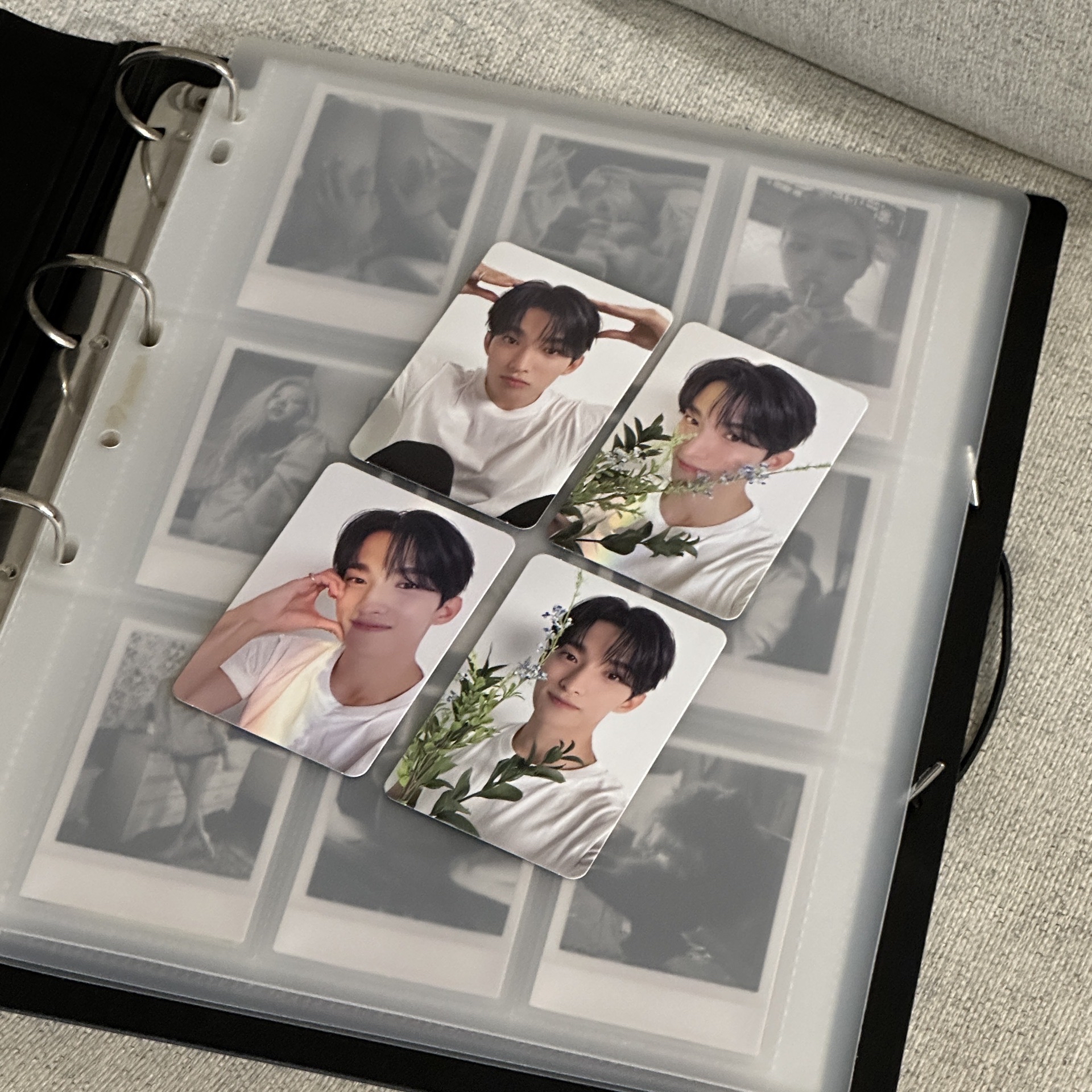 親愛盤隨機卡一套 碩