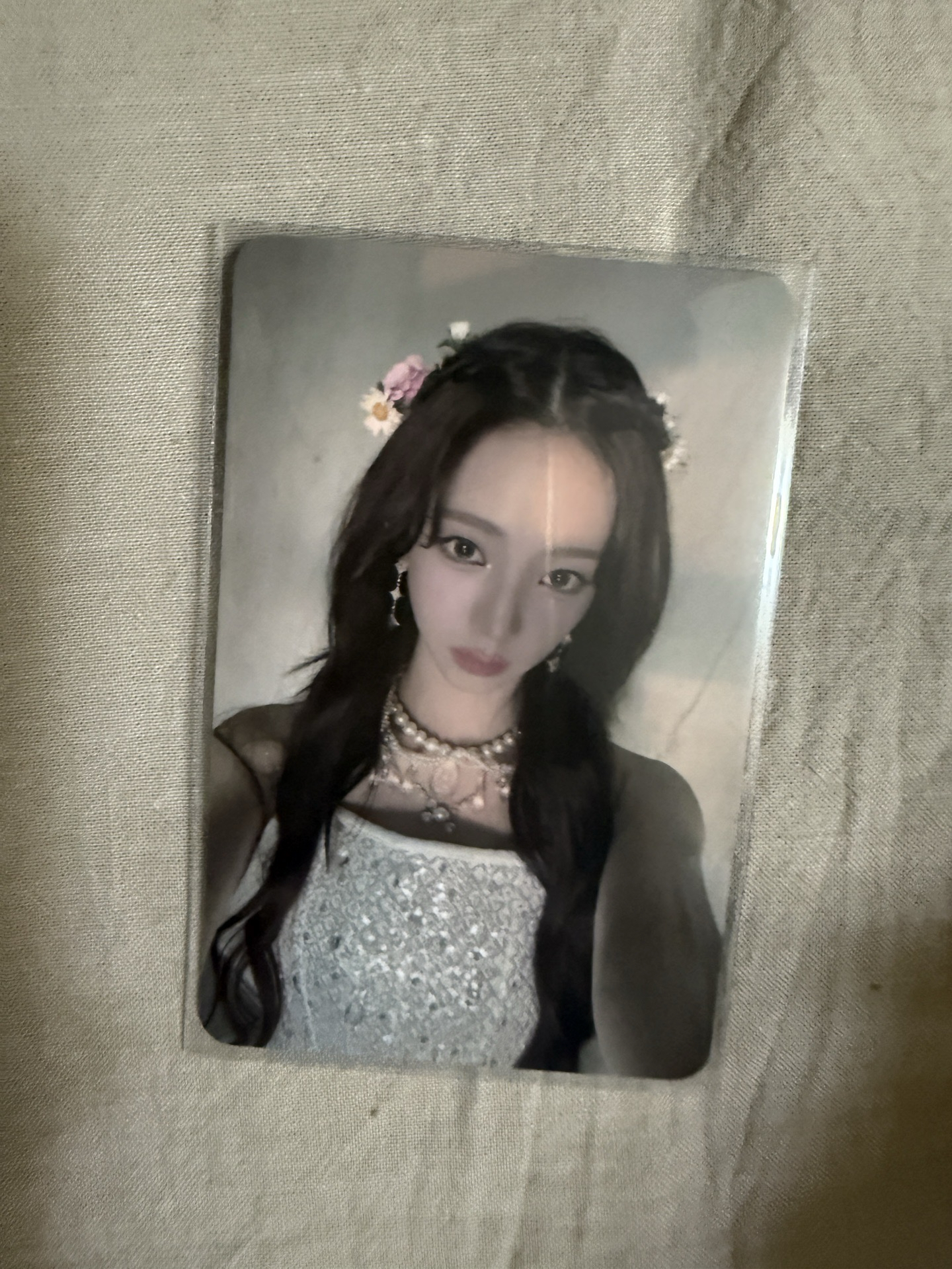 Whplash sm預售柚 簪花柚