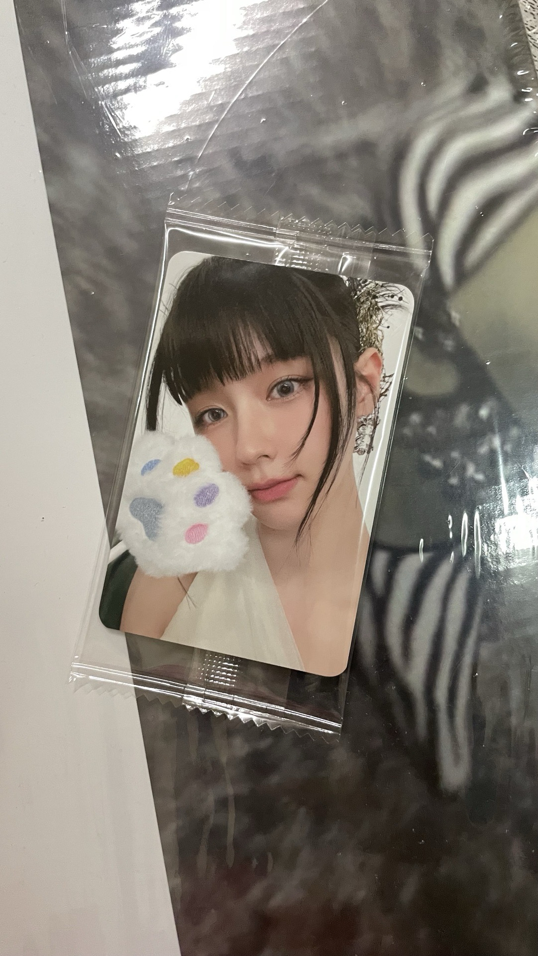 [現貨］K4預售 貓掌 麵 簽名卡背