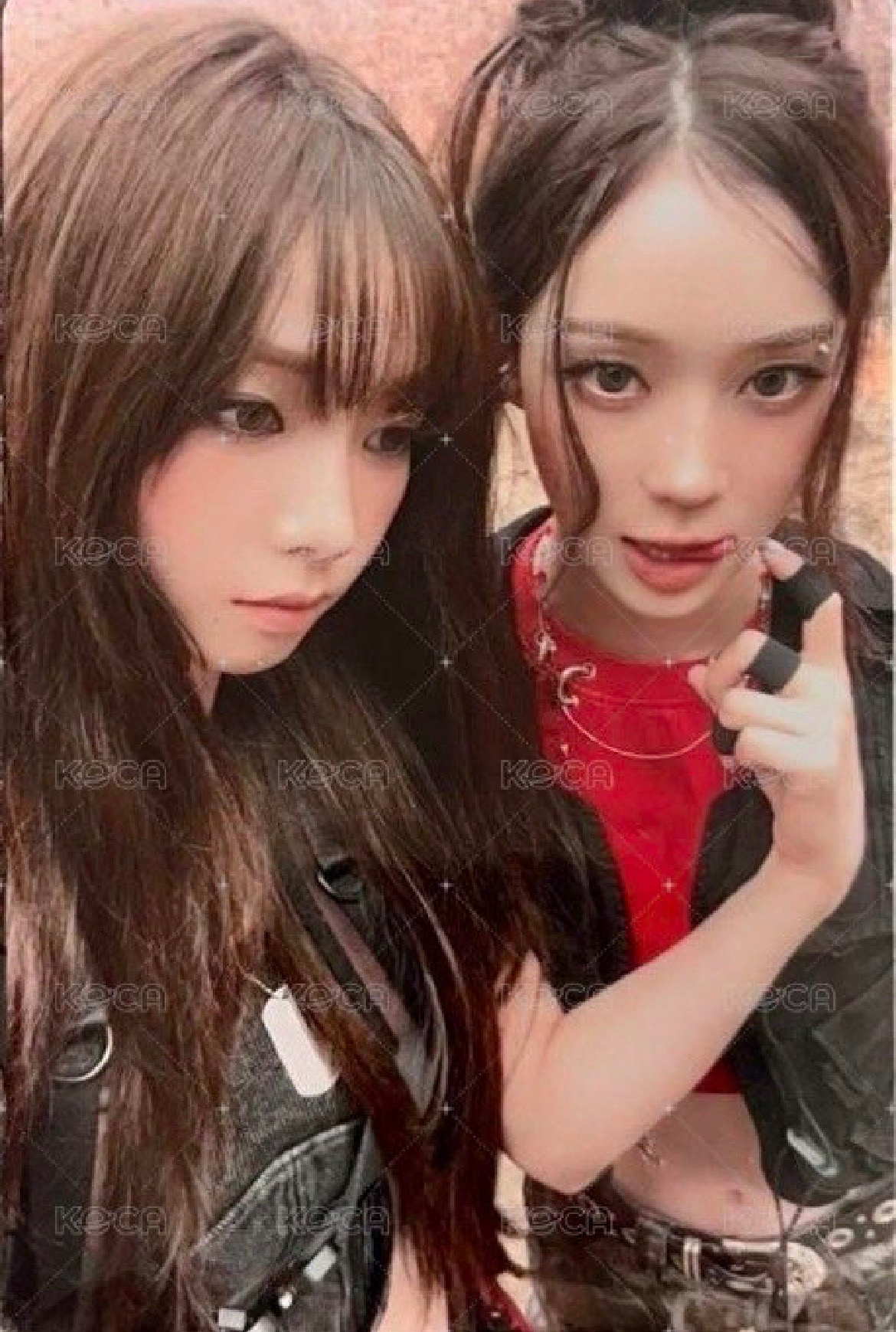dw 華納 冬柚雙人卡