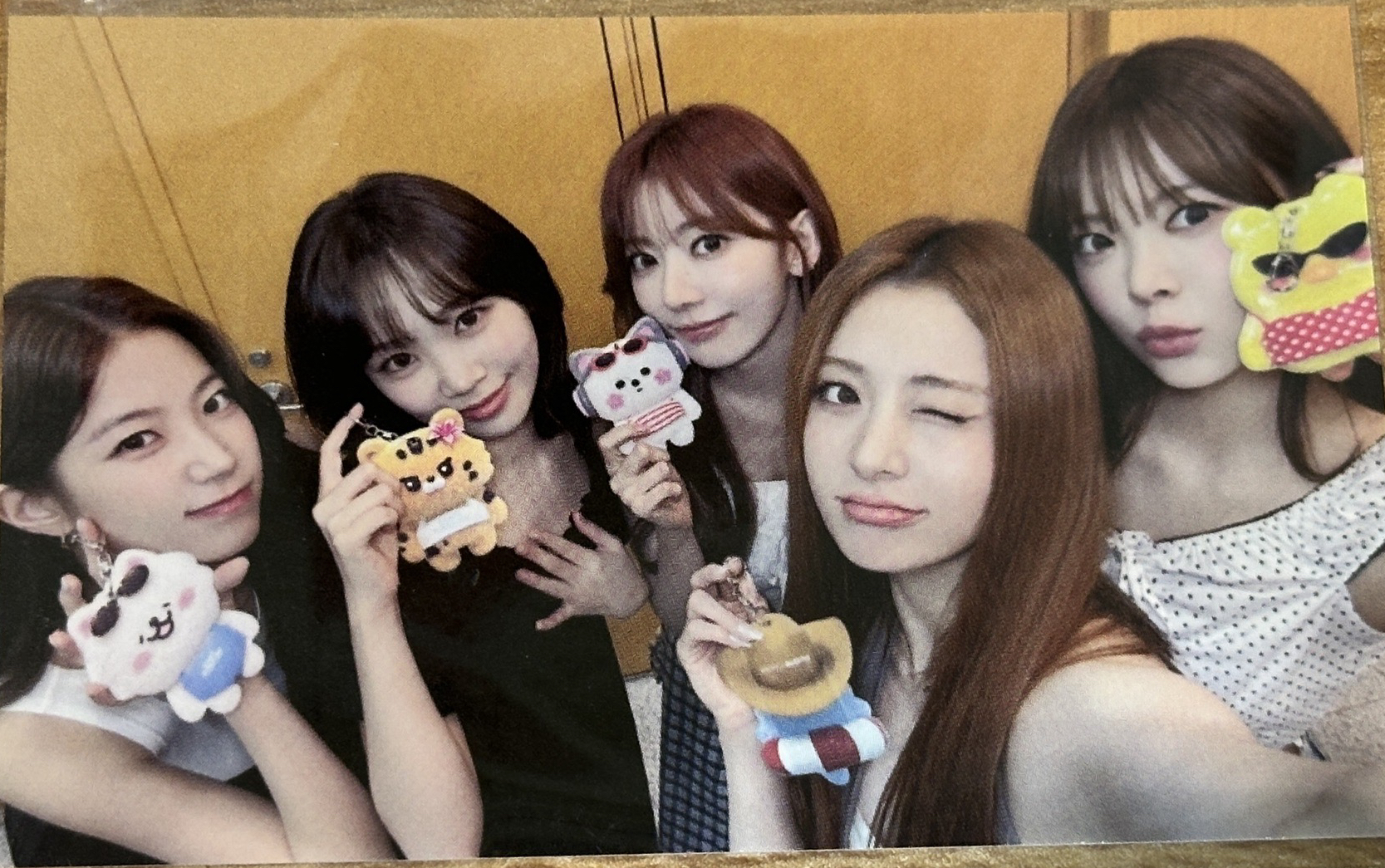 FIM'S VACANCE 飲料卡 卡套組