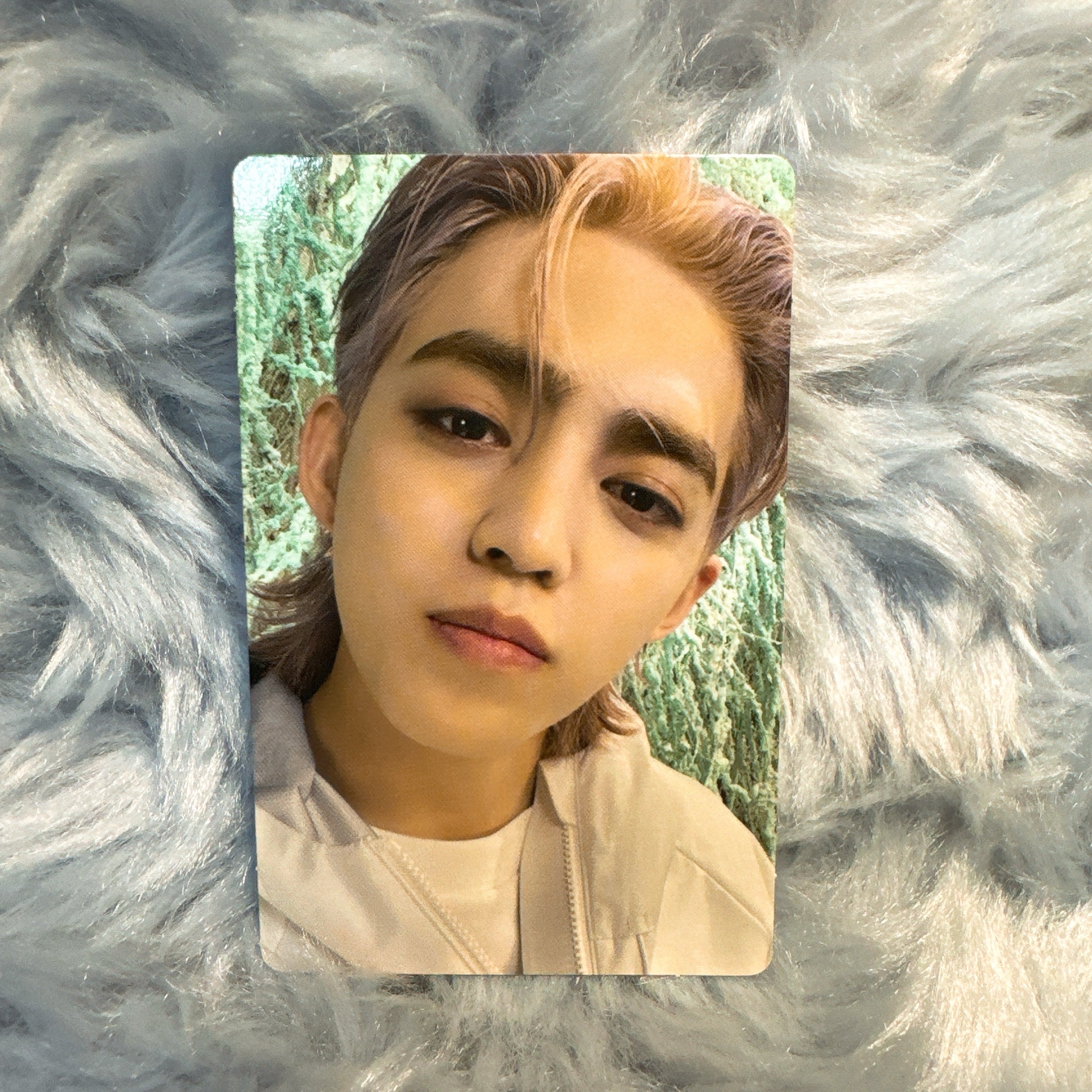 Seventeen  SECTOR 17 COMPACT ver. 專輯小卡 S.COUPS 勝哲