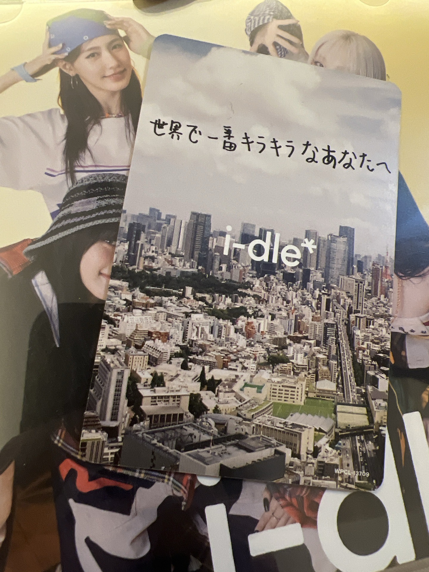 JC版日專 舒華專卡