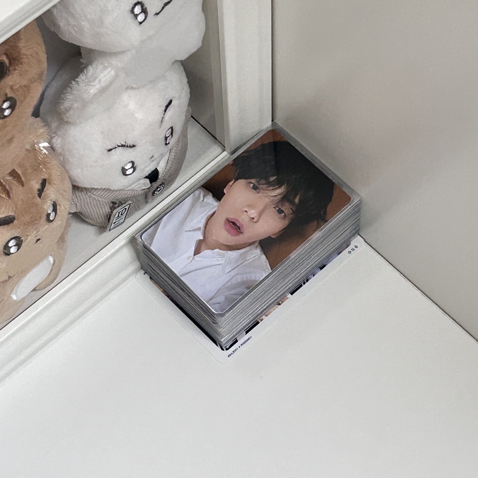 崔秀彬 迷七 電子專B