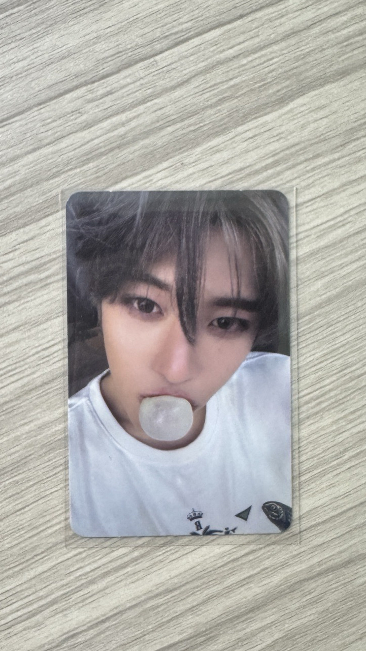 NCT Wish sion 專卡