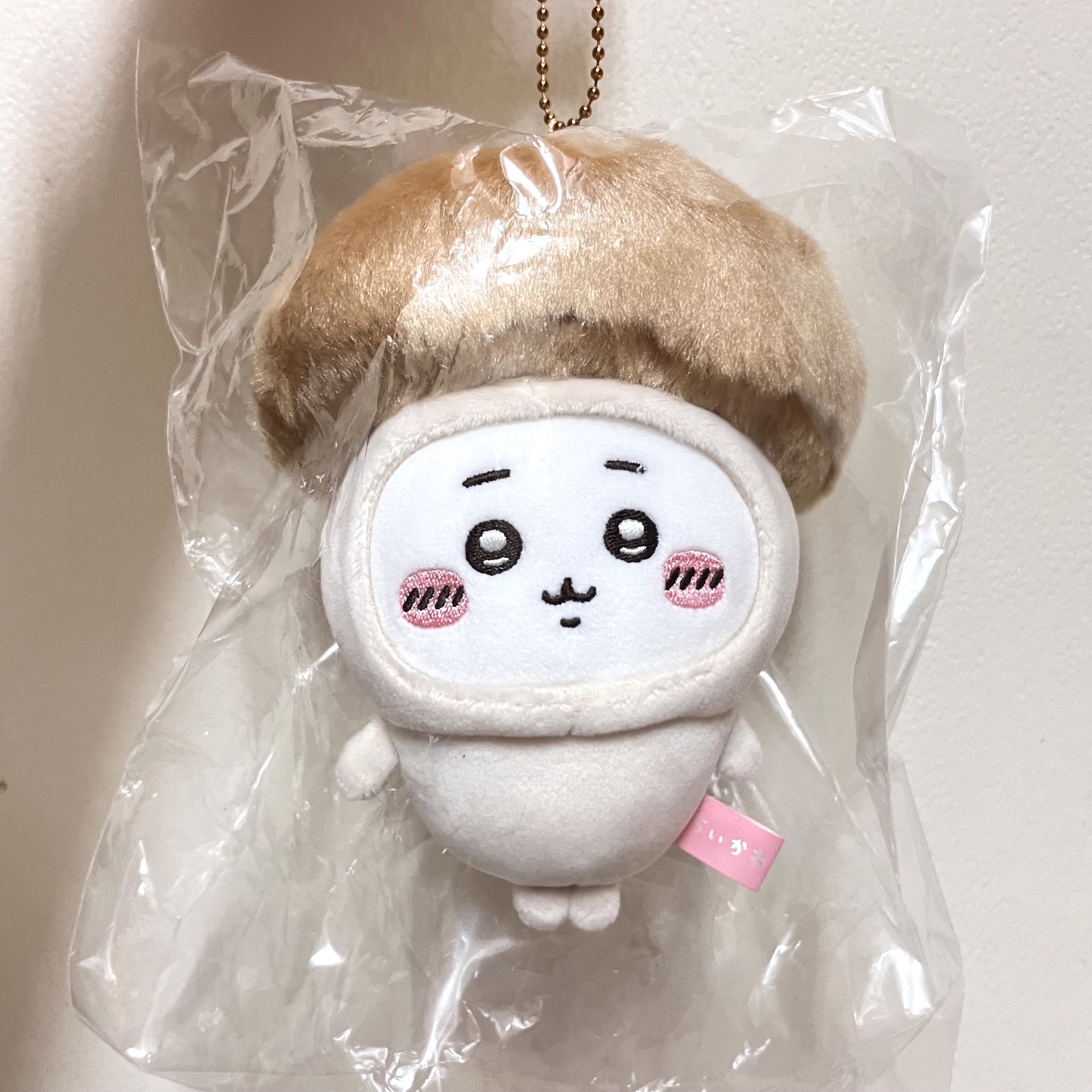 萬聖節香菇吉伊