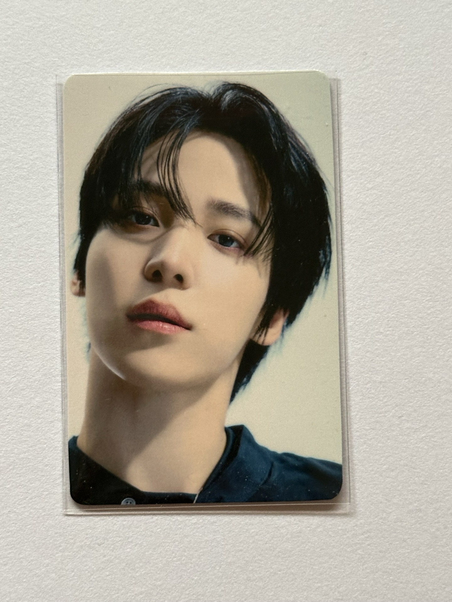  Ashes to Light 塔店 特典卡 