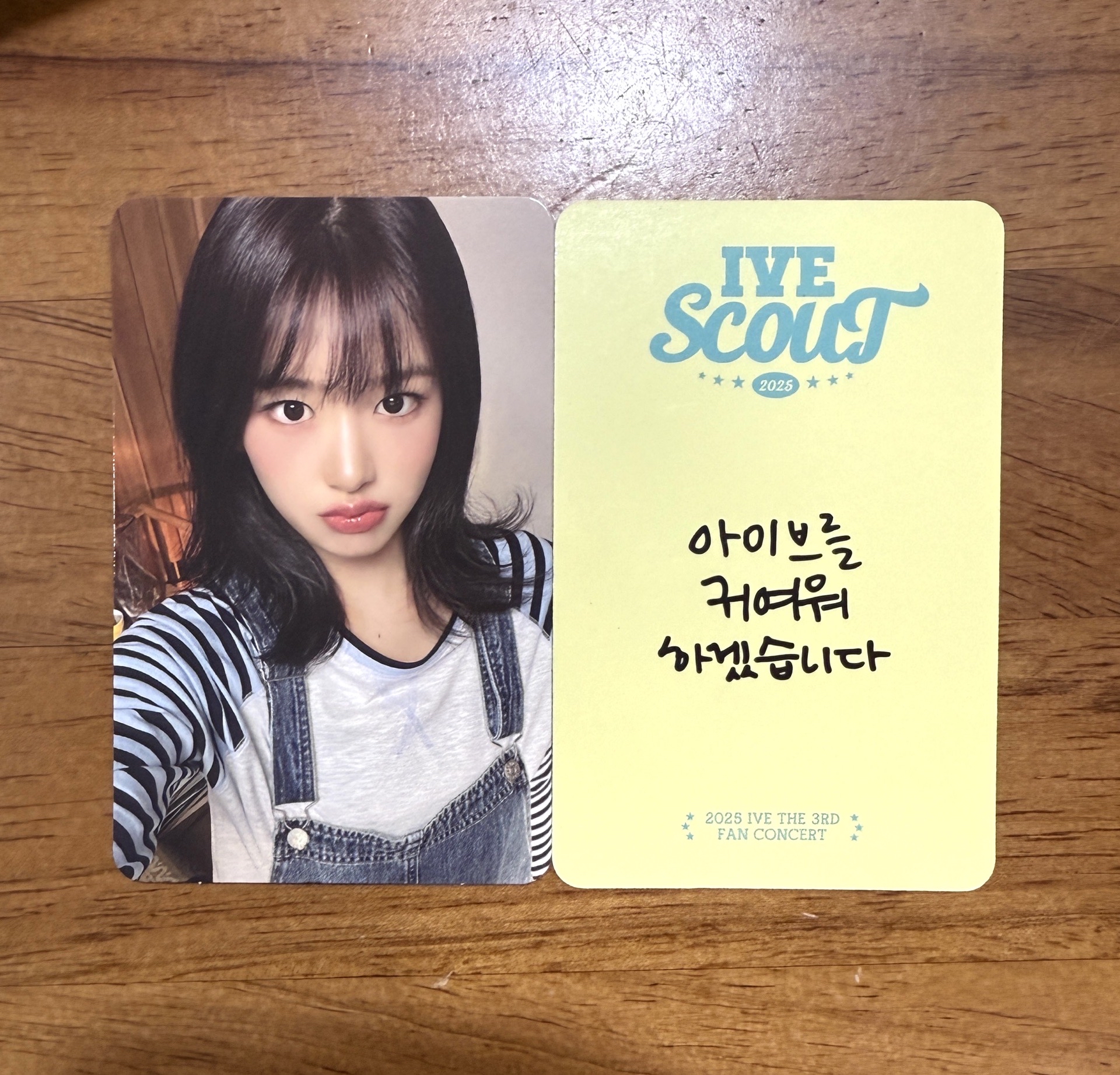 ✴️ 25 fc IVE SCOUT day1 入場卡 安俞真