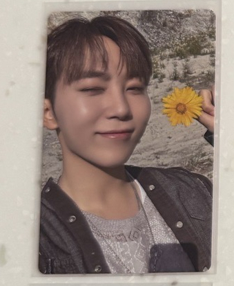 ✅拿花美男