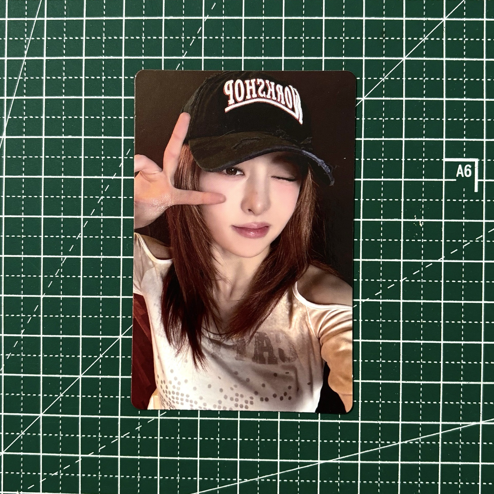 𓊆 瘋狂 km 蝦皮簽售卡 🐶𓊇