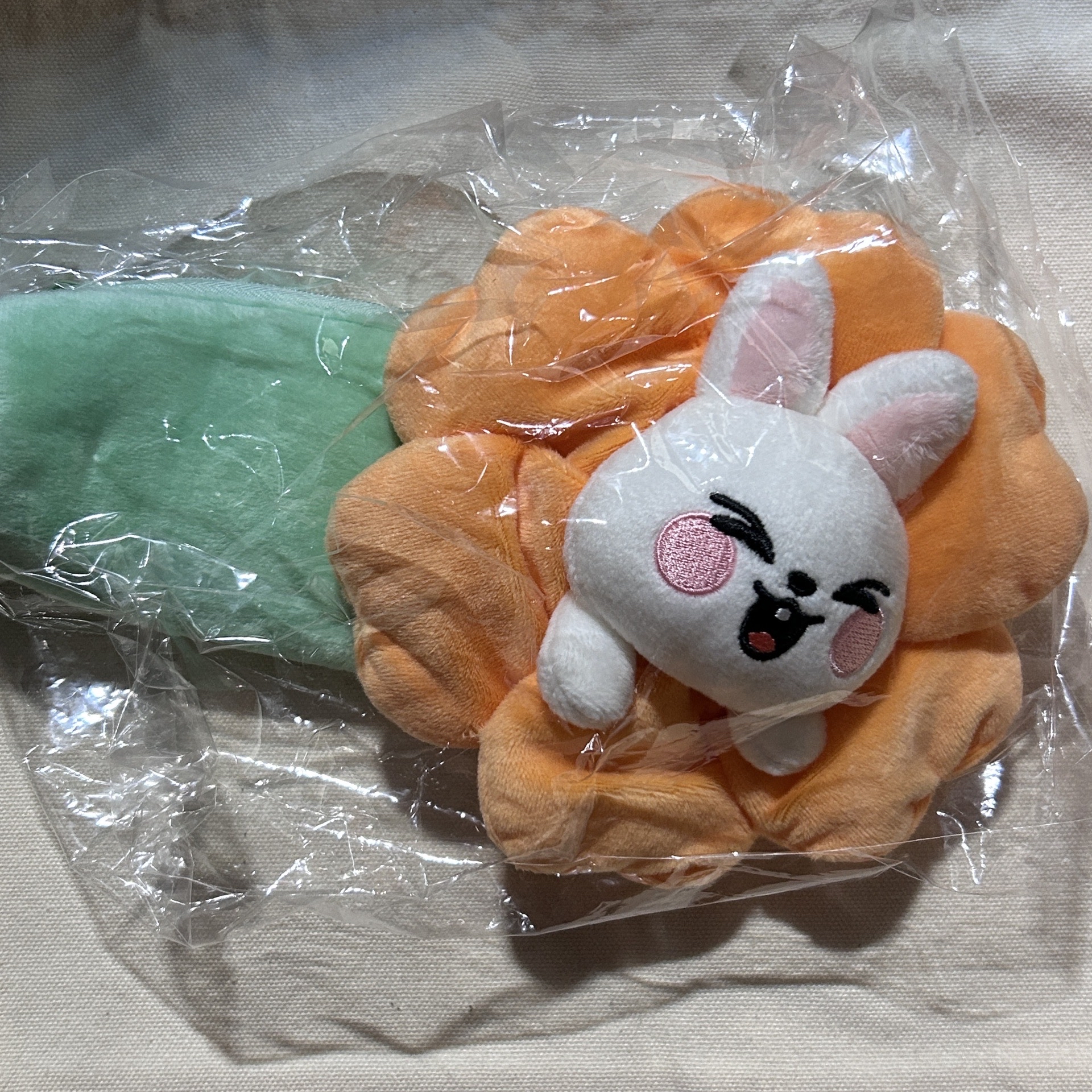 SKZ春日幼兒園筆袋Leebit 