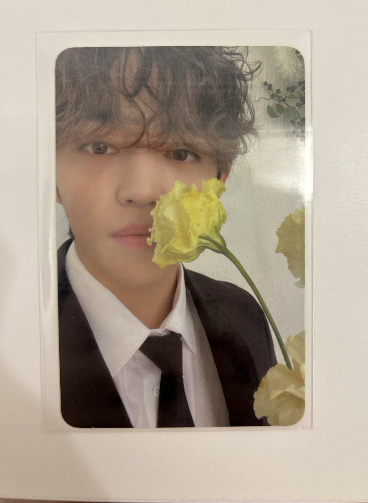 S.coups|MINI10 |CARAT ver.