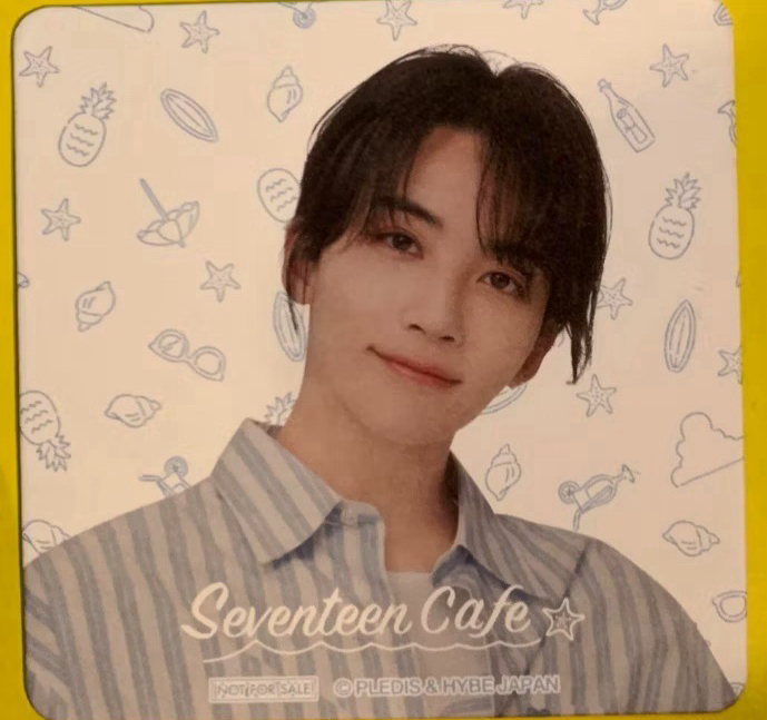 SEVENTEEN BEACH VACATION CAFE 2023 淨漢 入場特典 官方卡 明信片+ 團體照片立牌框