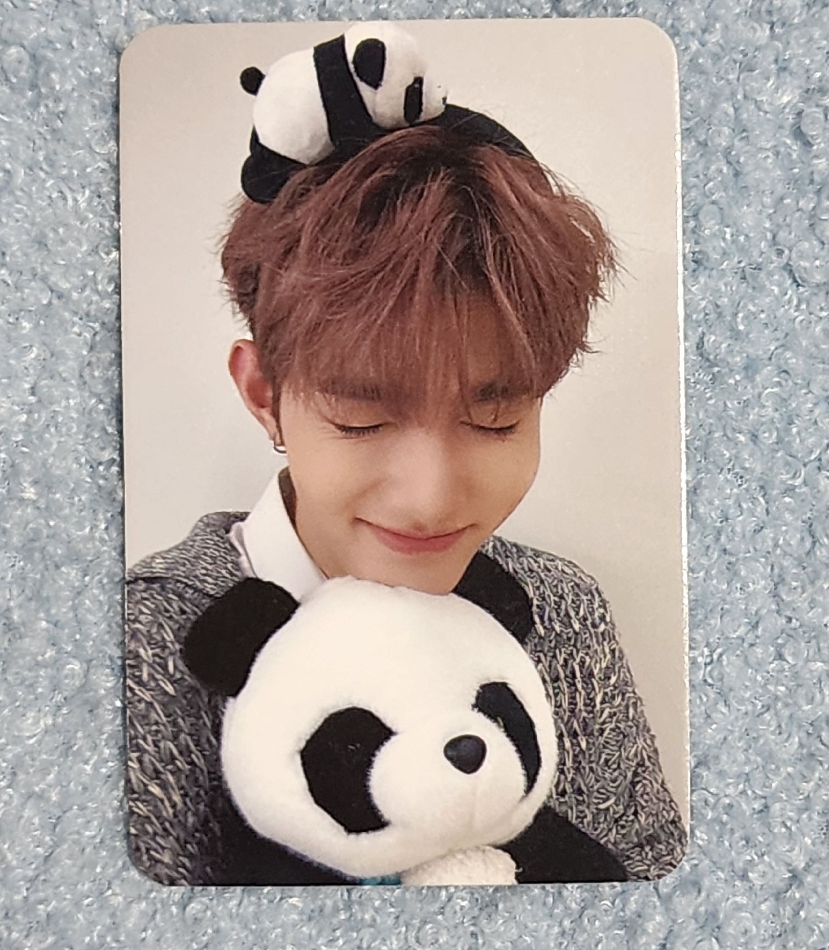 迷三 am 特典卡 熊貓 ver. - 昊