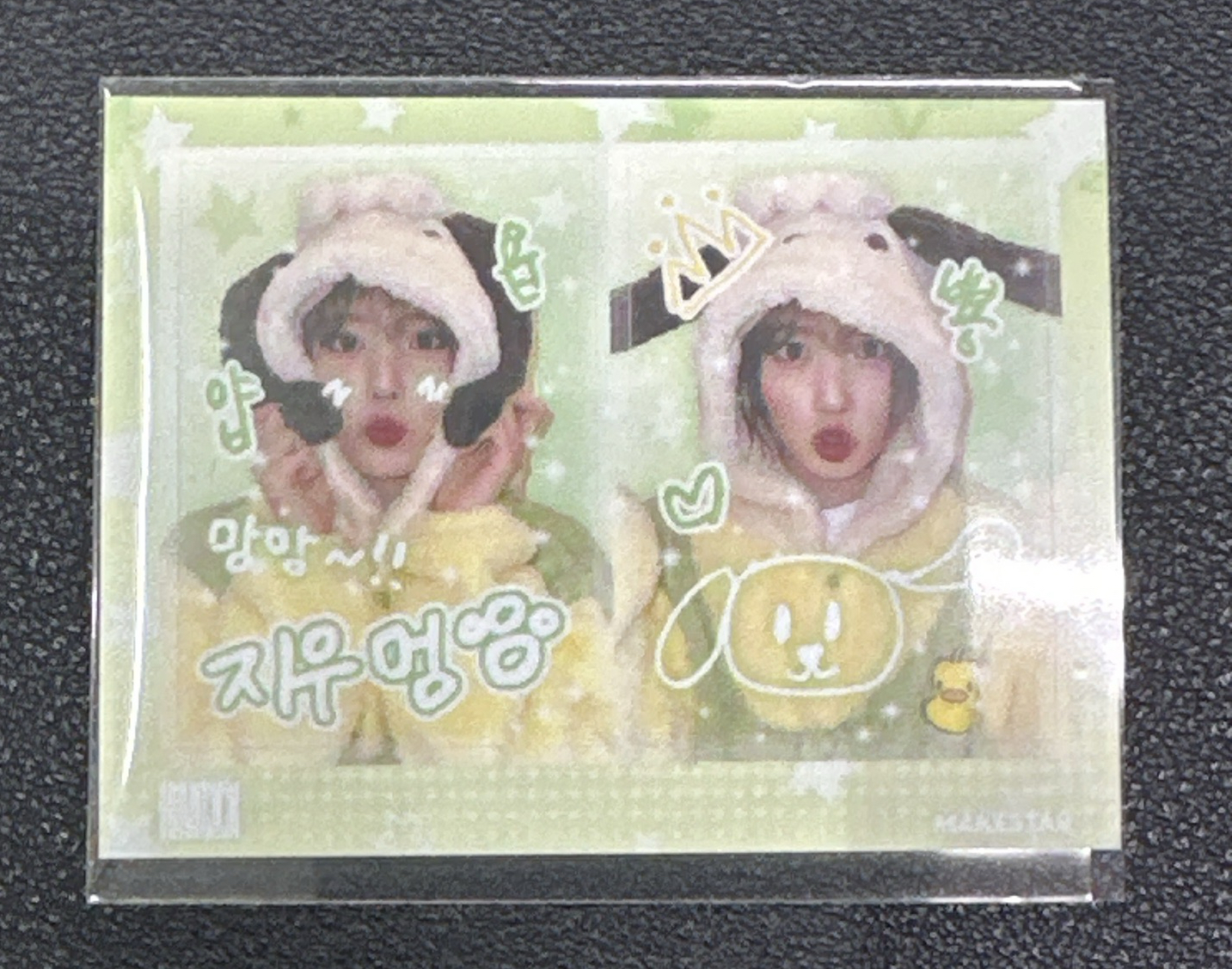 NMIXX 智友 動物 2格照貼紙