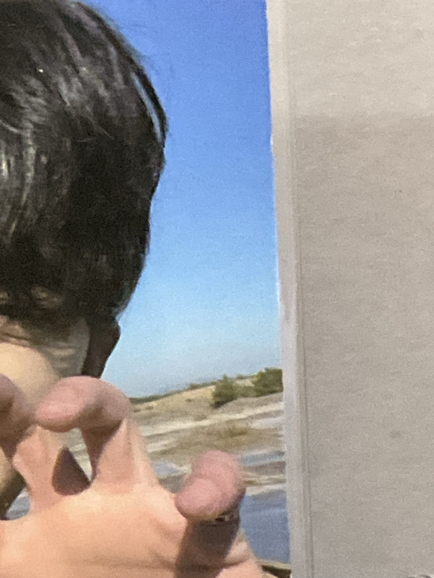 seventeen 哲 虎爪哲 ⚠️有損