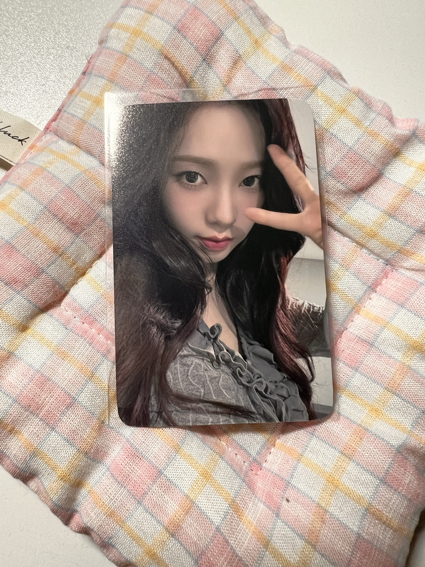 💛正規 el簽售柚