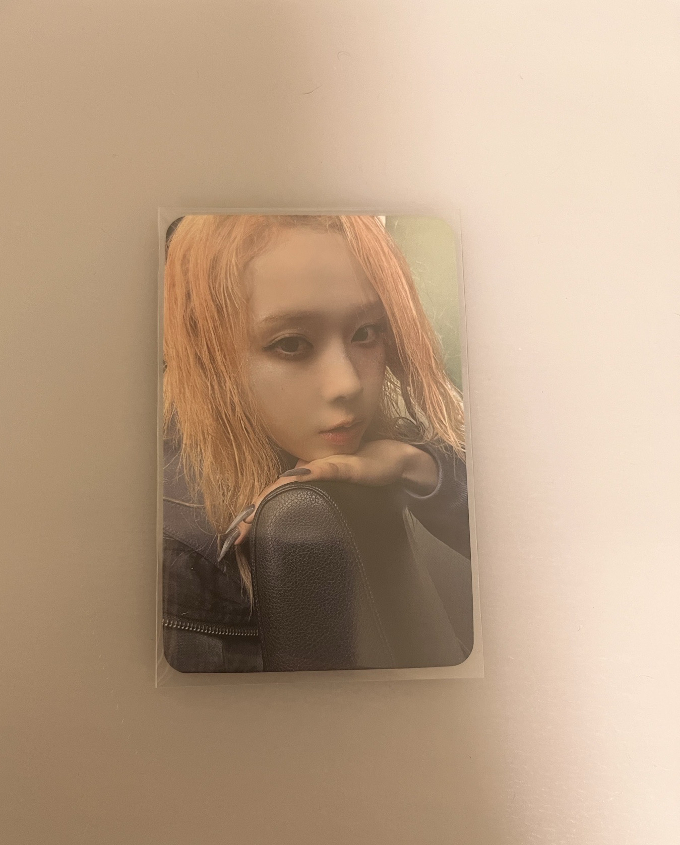 正規一 星河特典冬（中背）