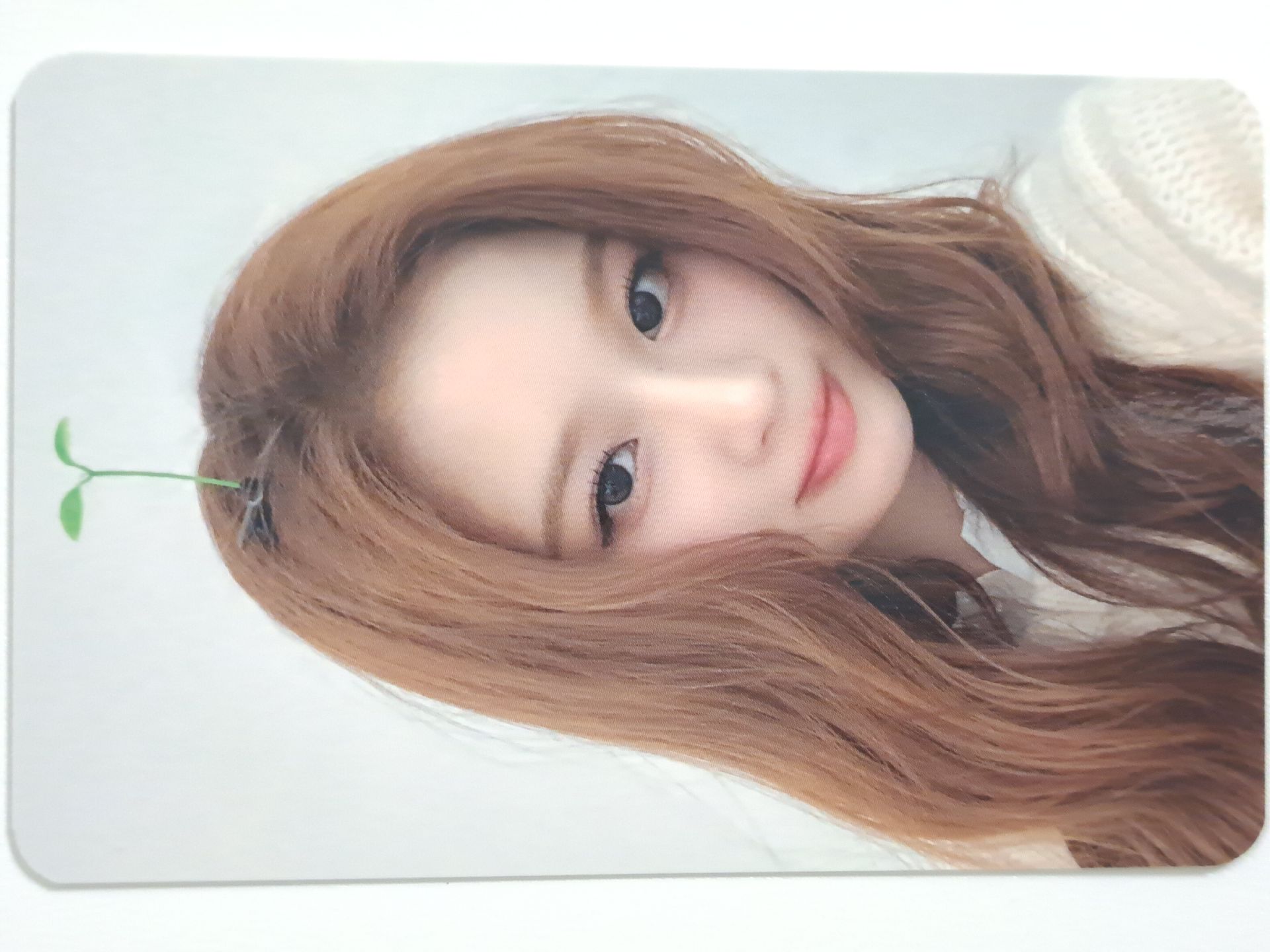 FORWARD ms 線下 5.0 簽售卡 幼苗薛