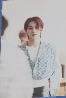 SEVENTEEN 迷8 Your Choice 淨漢 JEONGHAN  特典 小卡 明信片