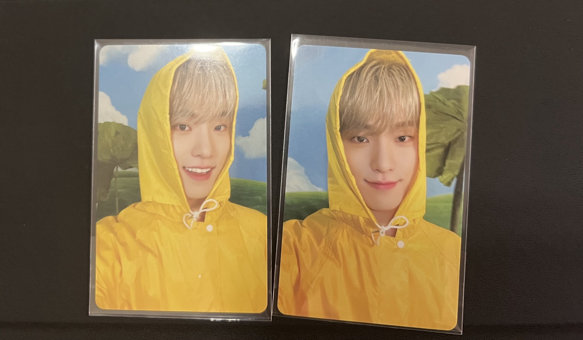 SEVENTEEN 李燦 Dino 迷11 雨衣盤小卡