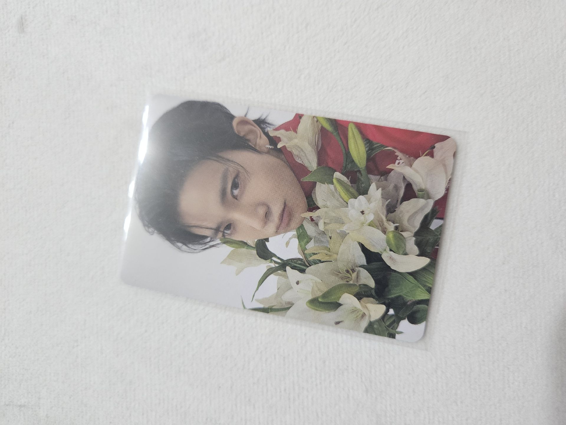 李羲承日咖特典