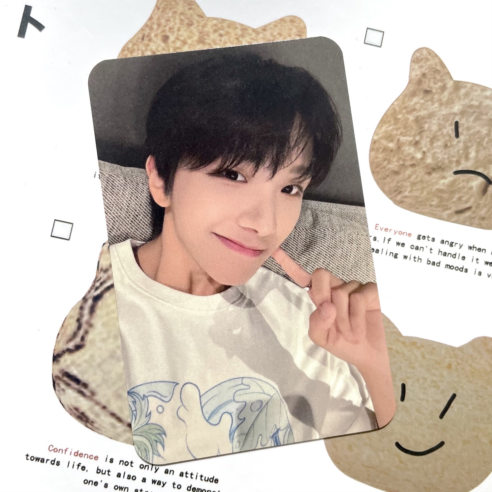 🐧金雲鶴 19.99kpop nara