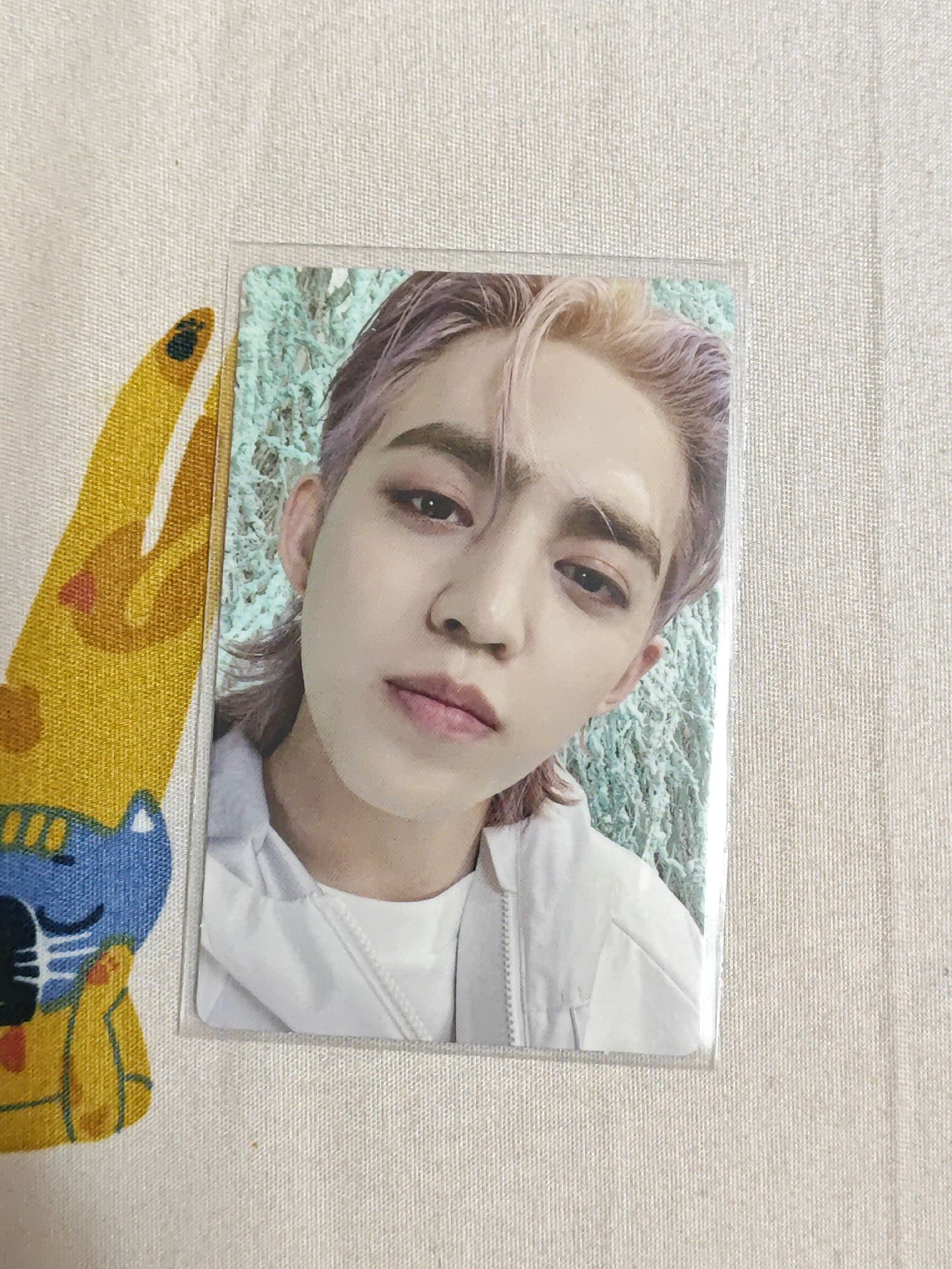 scoups正四後續專卡