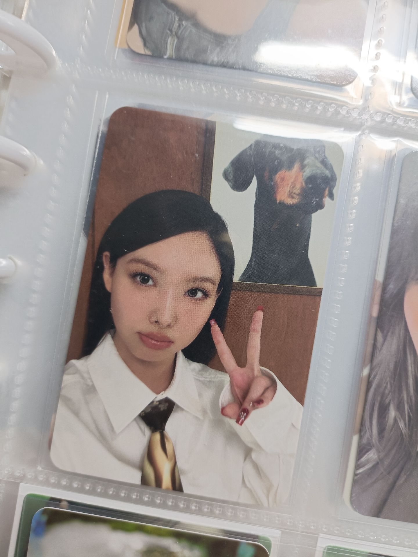 🐰