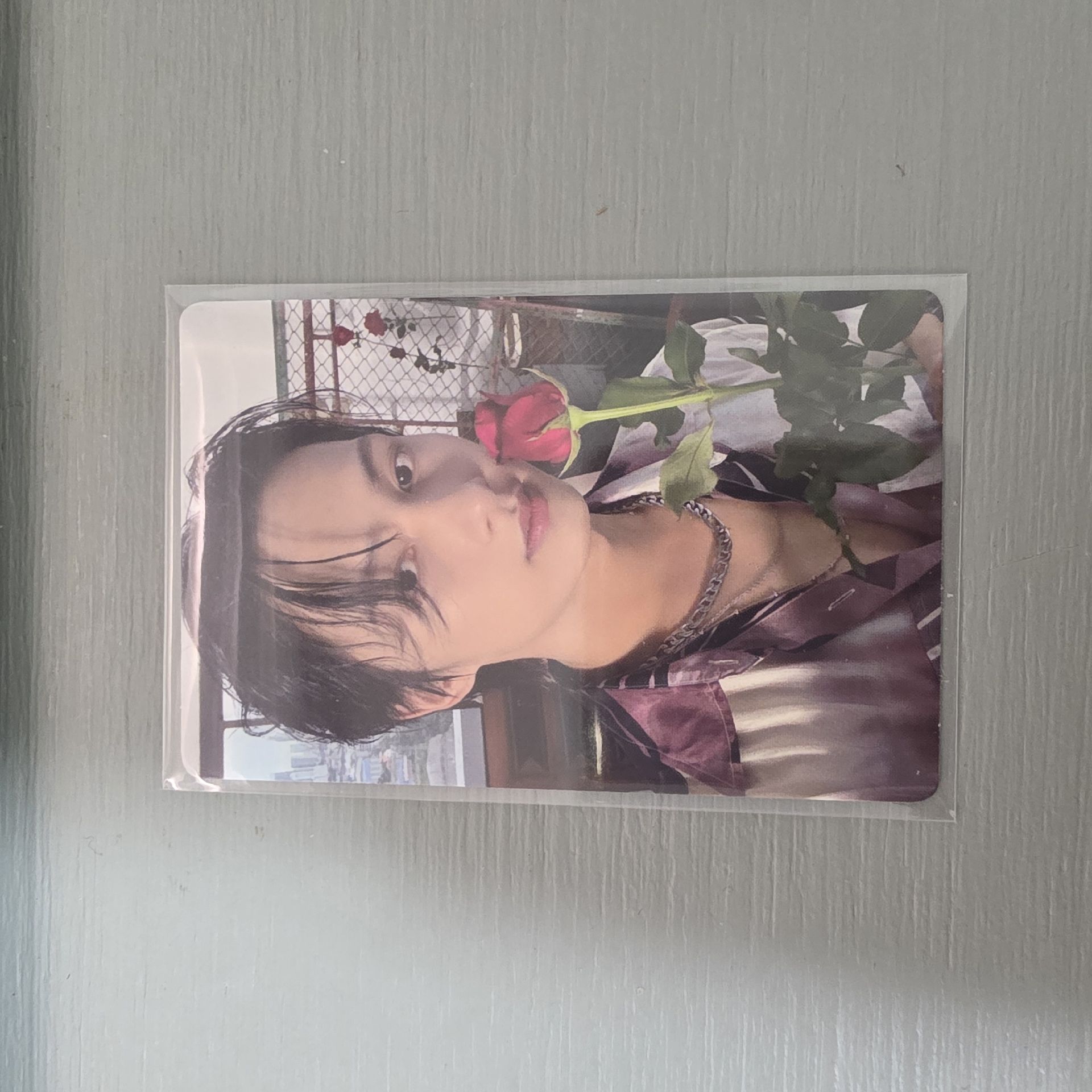 迷12 橘版KIT專卡 JUN