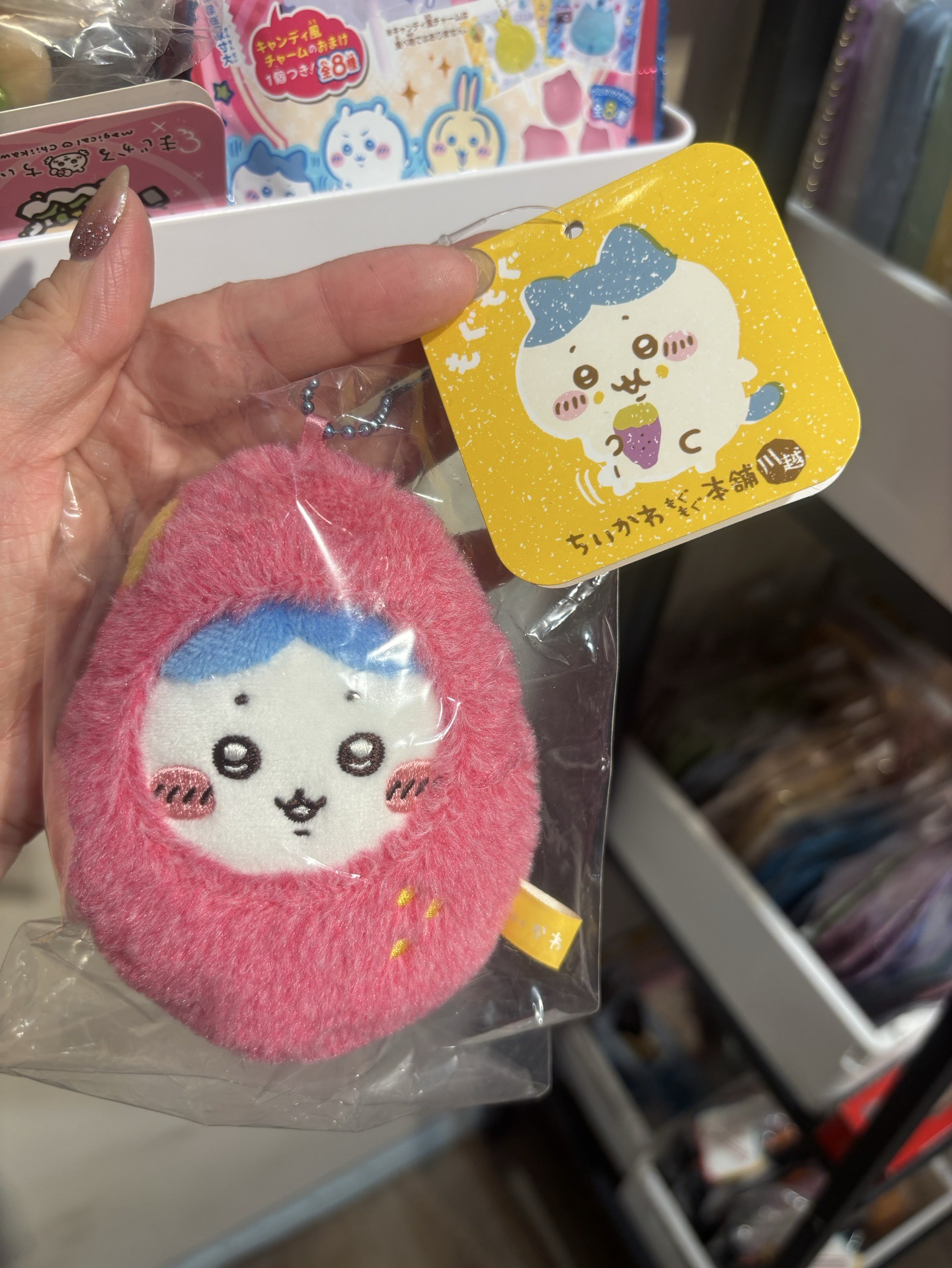 京都限定 地瓜娃 小八貓